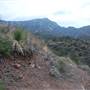 Big Bend National Park - Window Trail