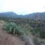 Big Bend National Park - Window Trail
