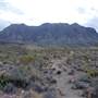 Big Bend National Park - Ward Springs Trail