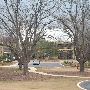Hyatt Regency Lost Pines Resort & Spa