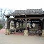 Hyatt Regency Lost Pines Resort & Spa