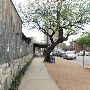 Stubb's BBQ