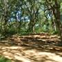 Oliver Nature Park