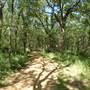Oliver Nature Park