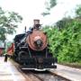 Texas State Railroad - 1901 Steam Train