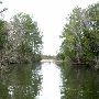 Lake Bastrop