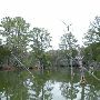 Lake Bastrop