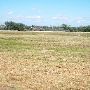 Mackenzie Park - Prairie Dog Town