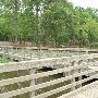 Huntsville State Park