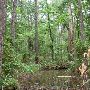 Huntsville State Park