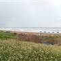 Hilton Garden Inn - South Padre Island
