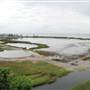 South Padre Island Birding and Nature Center & Alligator Sanctuary