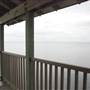 South Padre Island Birding and Nature Center & Alligator Sanctuary
