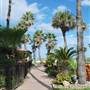 Isla Grand Beach Resort