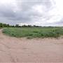 Loop Farms Inc