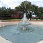 Trinity University