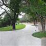 Trinity University