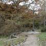 Old Glory Ranch