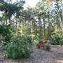 Gayla Mize Garden