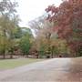 Davey Dogwood Park