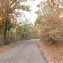Davey Dogwood Park