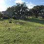 Old Ponderosa Ranch