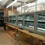 Animal World and Snake Farm