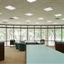 The Library of Graham