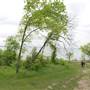 Cedar Hill State Park