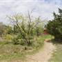 Cedar Hill State Park - Talala Trail