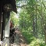 Texas State Railroad