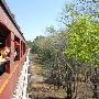 Texas State Railroad