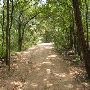 Zilker Botanical Gardens