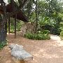 Zilker Botanical Gardens