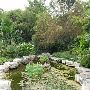 Zilker Botanical Gardens