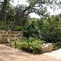 Zilker Botanical Gardens