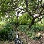 Zilker Botanical Gardens