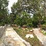 Zilker Botanical Gardens