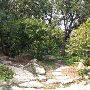 Zilker Botanical Gardens