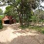 Zilker Botanical Gardens