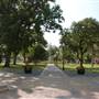 Travis Park