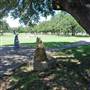 Liberty Hill Sculpture Garden