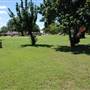 Liberty Hill Sculpture Garden