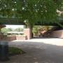 Buffalo Bayou