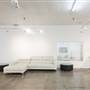 Squash Blossom Studios