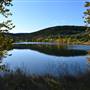 Madrone Ranch