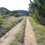Madrone Ranch