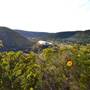 Madrone Ranch