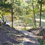 Madrone Ranch