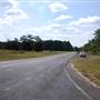 FM 312 & TX 154